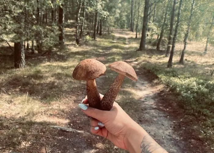 Dom wakacyjny Z Sauną I Balią